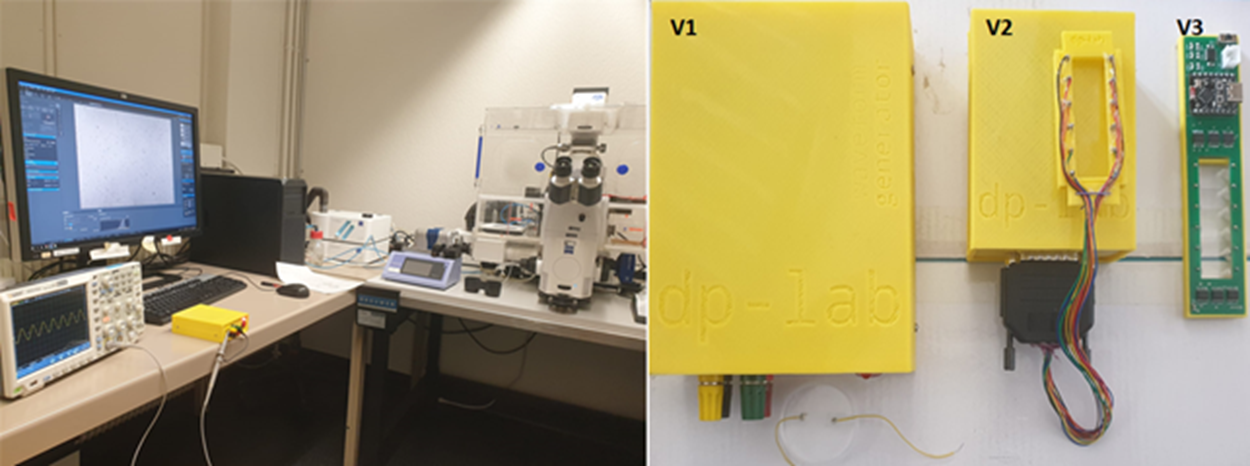 BBB electrical stimulation project